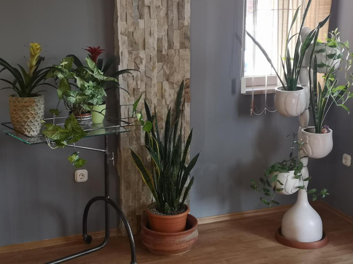 Hotello Apartmanhaz Es Panzio Zalaegerszeg Exteriör bild
